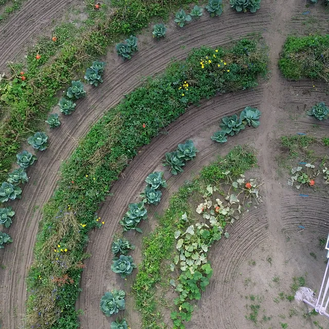 Circlefarming at Dutch Design Week 2024